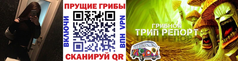 Псилоцибиновые грибы MAGIC MUSHROOMS  купить наркоту  Кумертау 